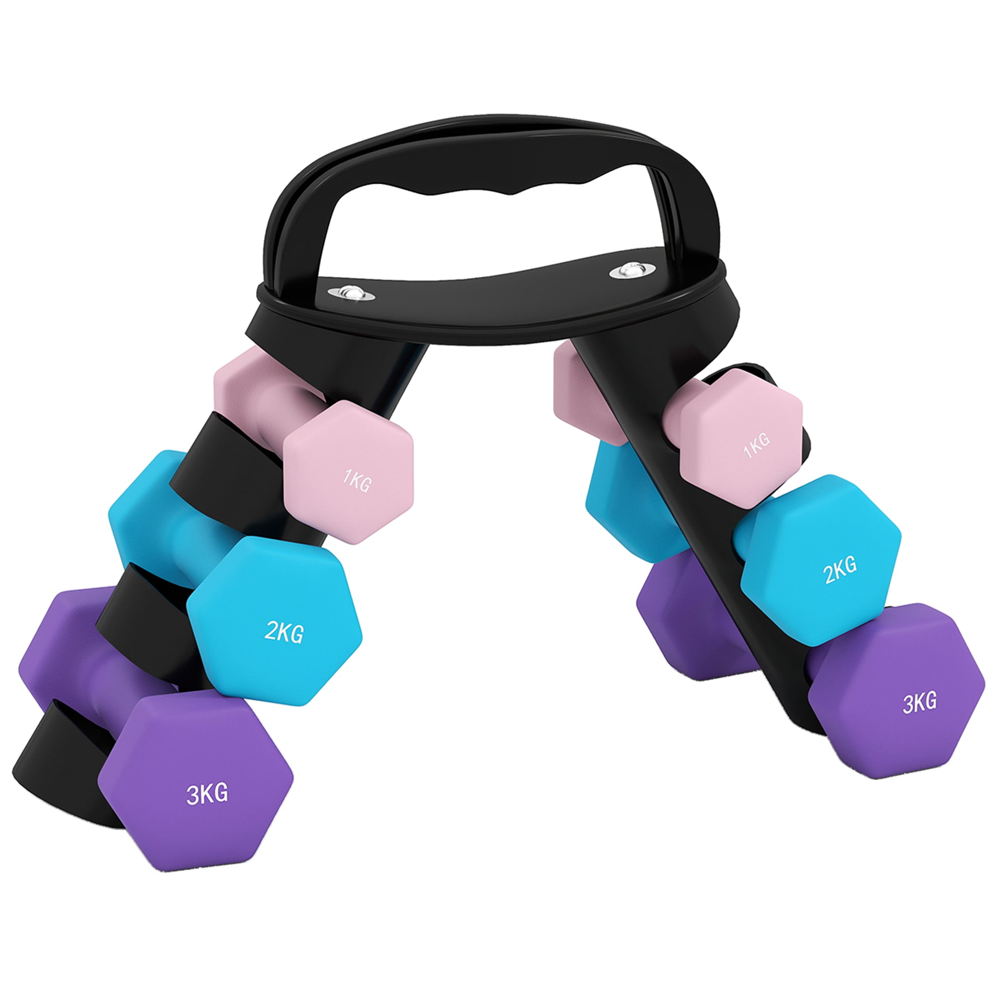 Håndvægtsæt Med Opbevaringsstativ, Sæt Med 6 Håndvægte Til Fitnesstræning, 2 X 1 Kg, 2 X 2 Kg, 2 X 3 Kg Black Friday Aosom Tilbud