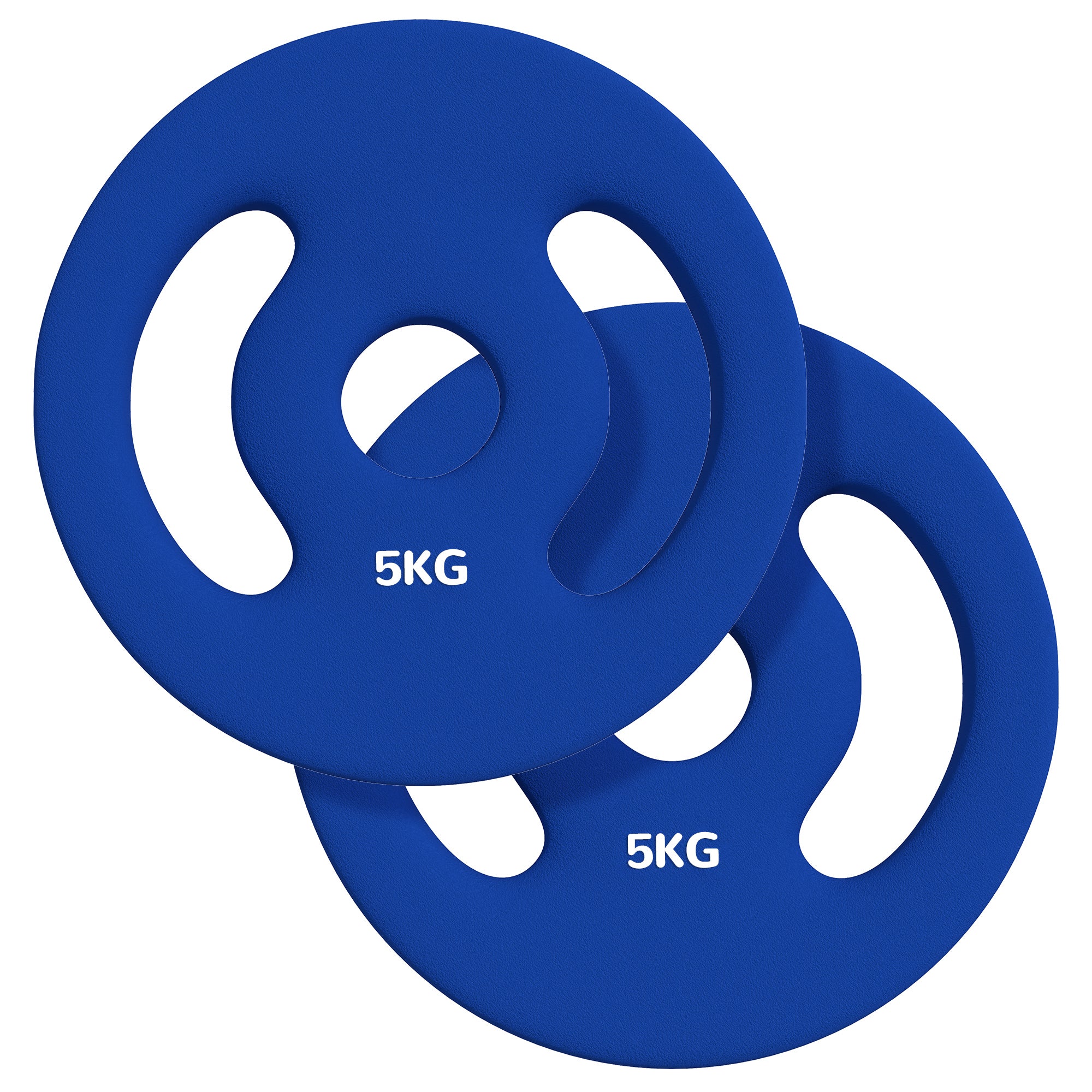 2 X 5 Kg Vægtskiver Med Praktiske Håndtag, Vægtsæt Til Hjemmegym, Fitnessstudie, Styrketræning, Blå Black Friday Aosom Tilbud
