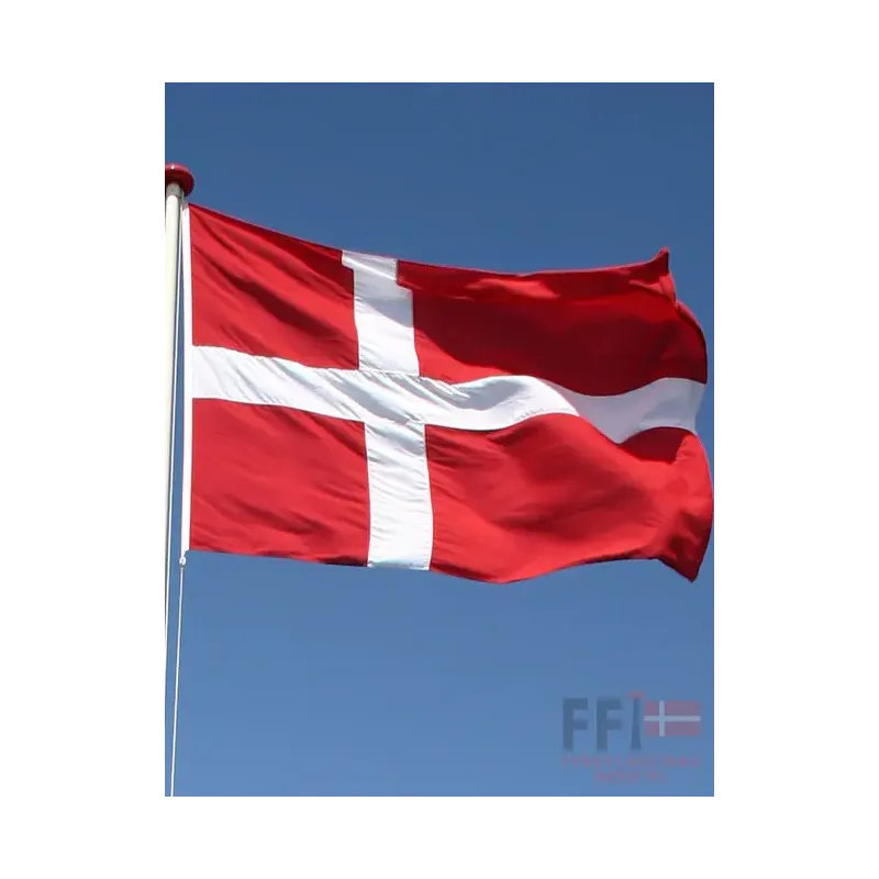 Dannebrogsflag Til 11 Meter Glasfiberflagstang Black Friday Fyns Flagstang Industri Tilbud