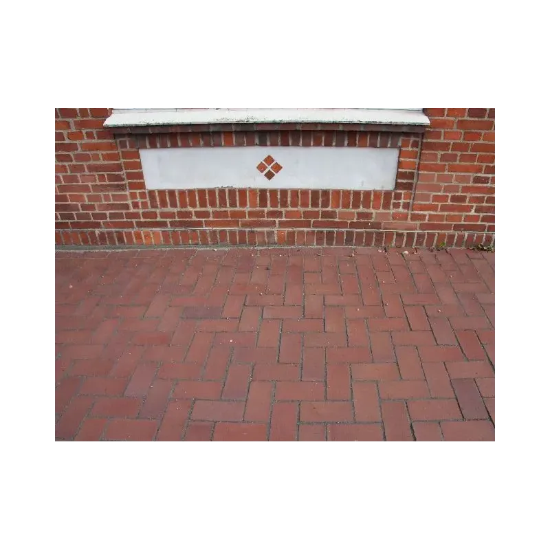 Friesland Belægningstegl 200x100 mm – Black Friday Tilbud